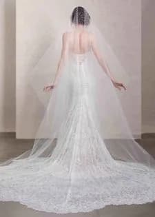 Veil 17